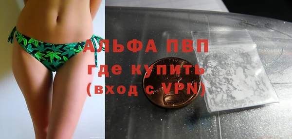СК Вяземский